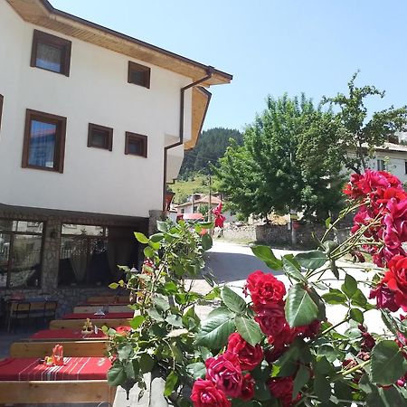 Къща За Гости Камината Trigrad Bagian luar foto